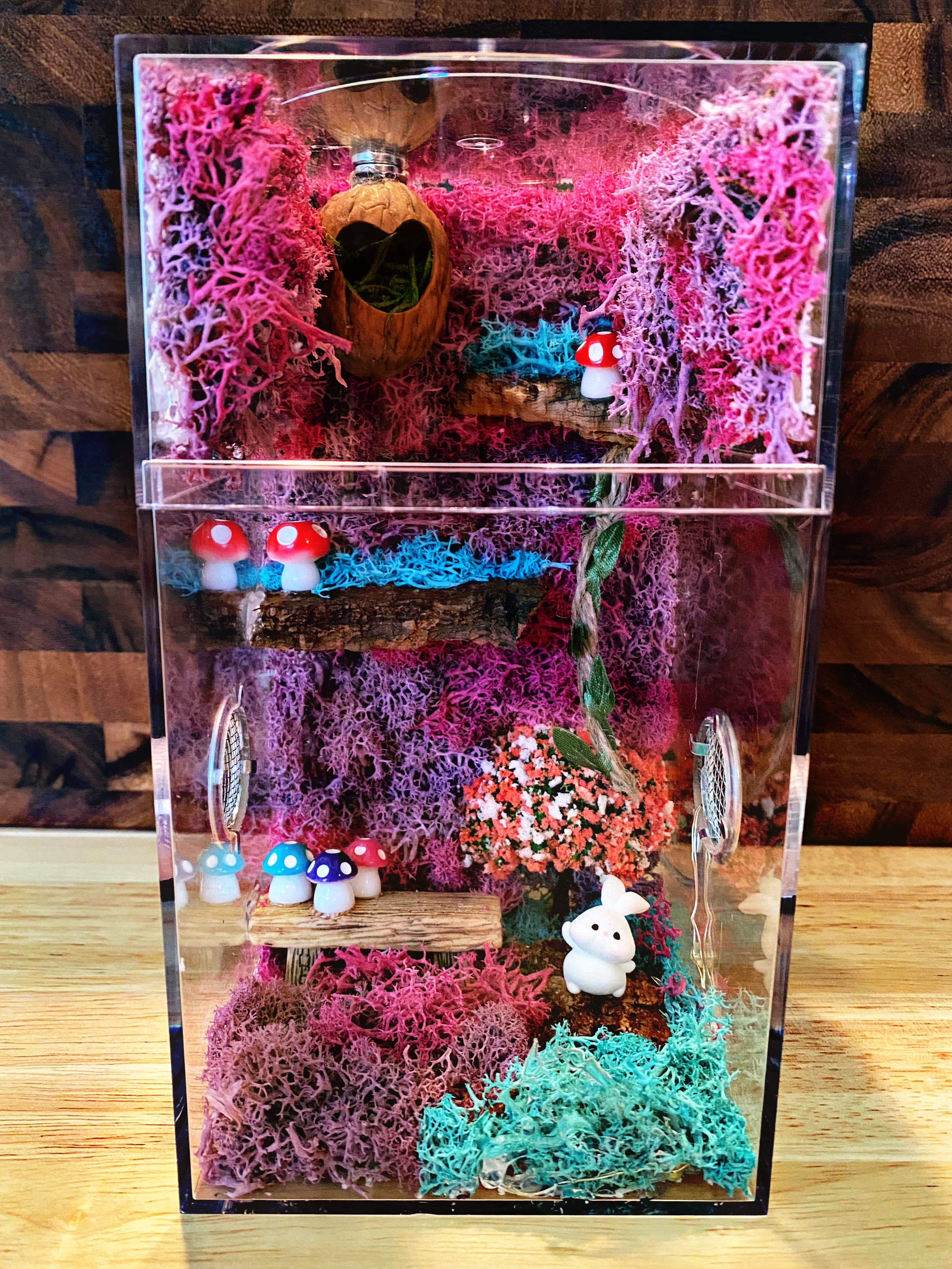 ~Fairy Lights~ Custom Jumping Spider Enclosure