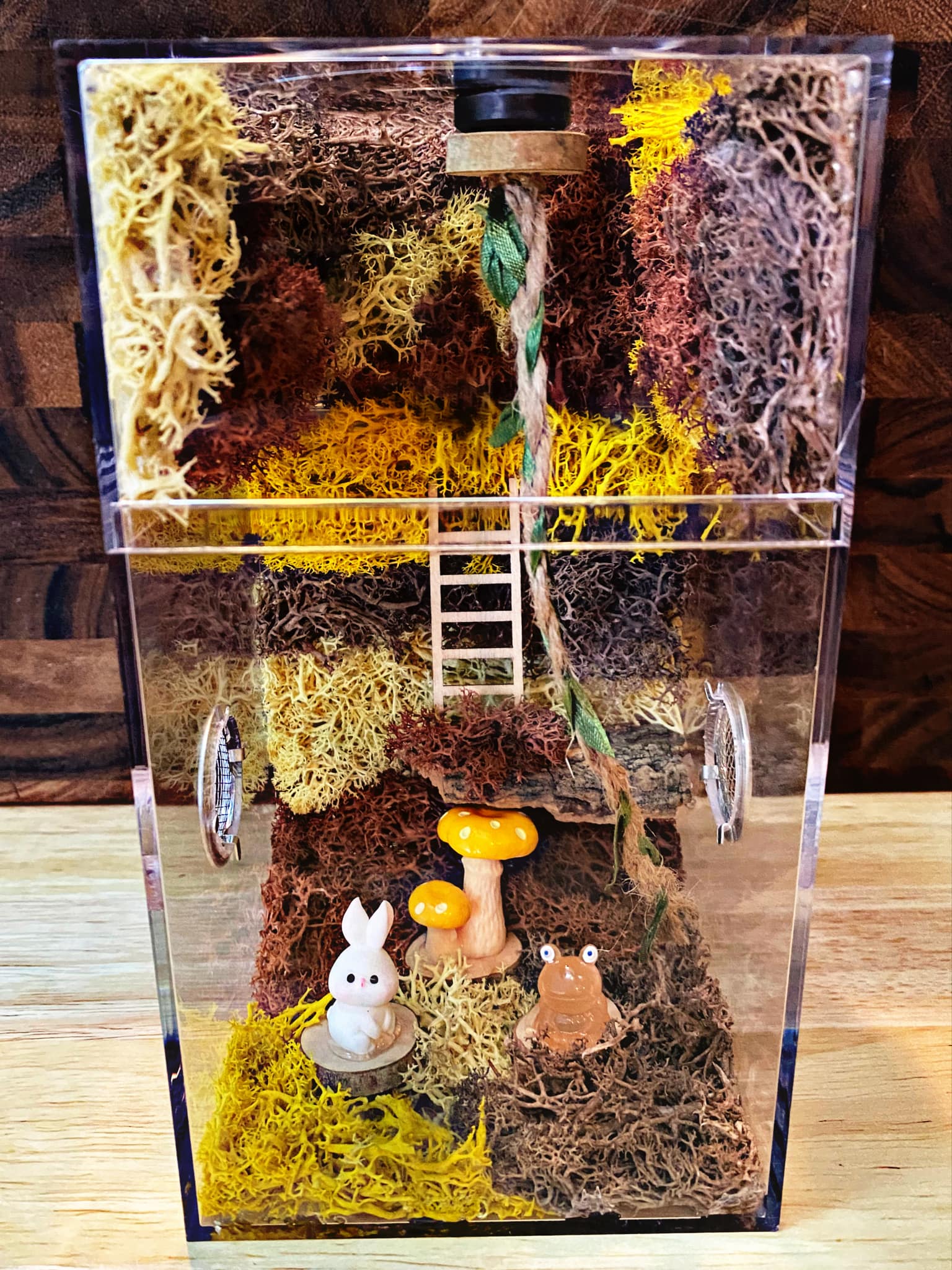 Custom Jumping Spider Enclosure For Sale