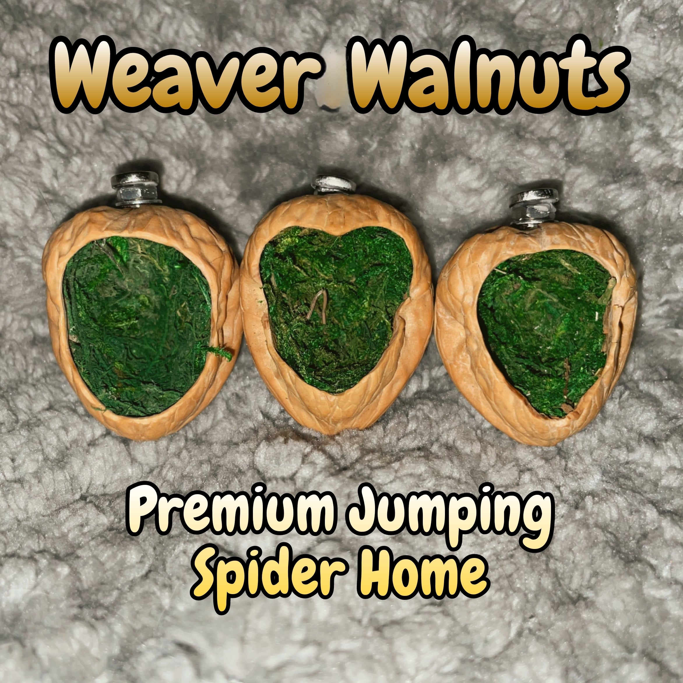 Weaver Walnuts, jumping spider hide, custom made, enclosure accessory