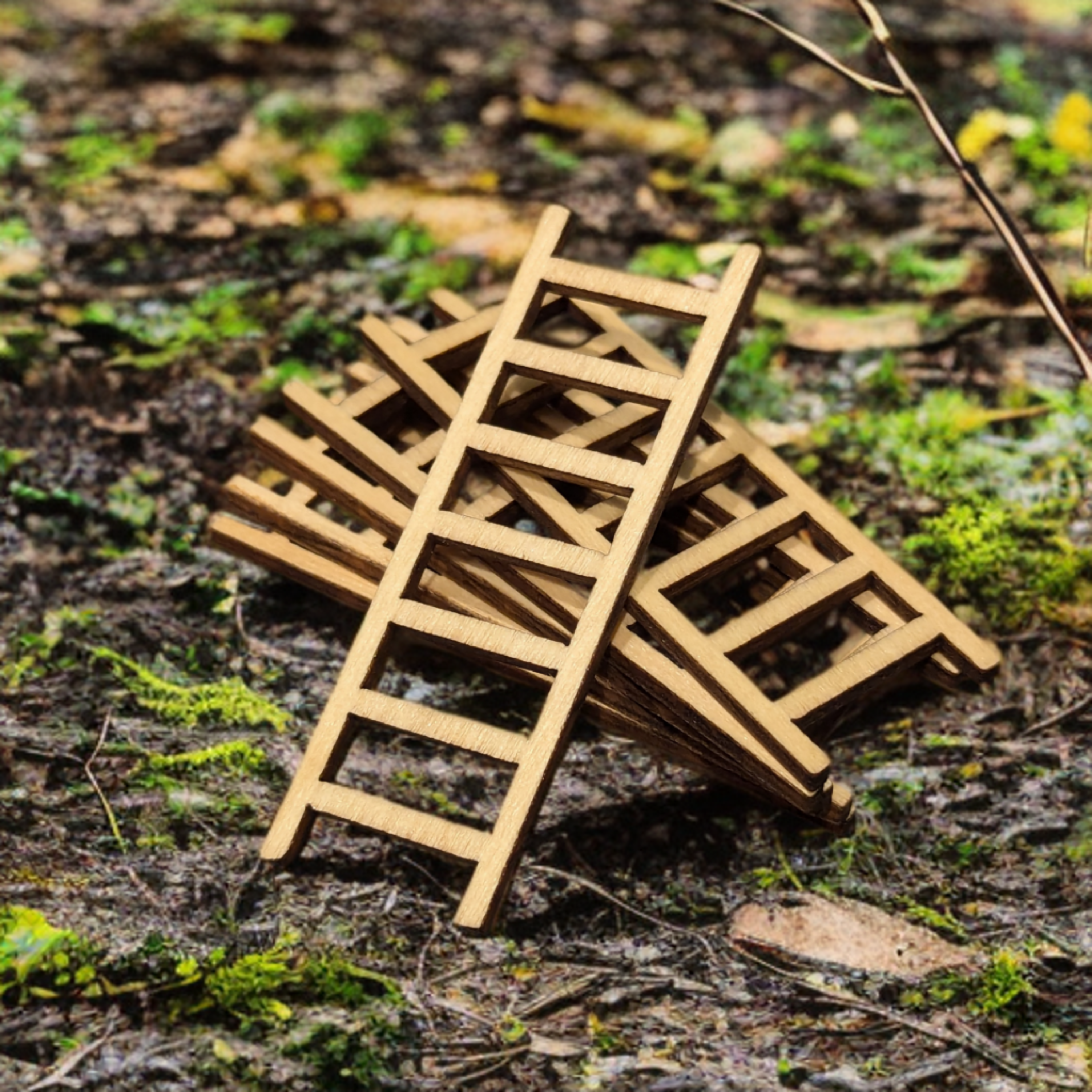 wooden, ladder, miniature, enclosure, jumping spider 